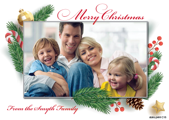C15 Christmas Card